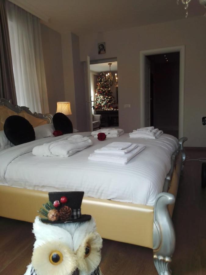 Casa Maria Roses Hotell Rîşnov Exteriör bild