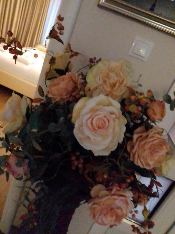 Casa Maria Roses Hotell Rîşnov Exteriör bild