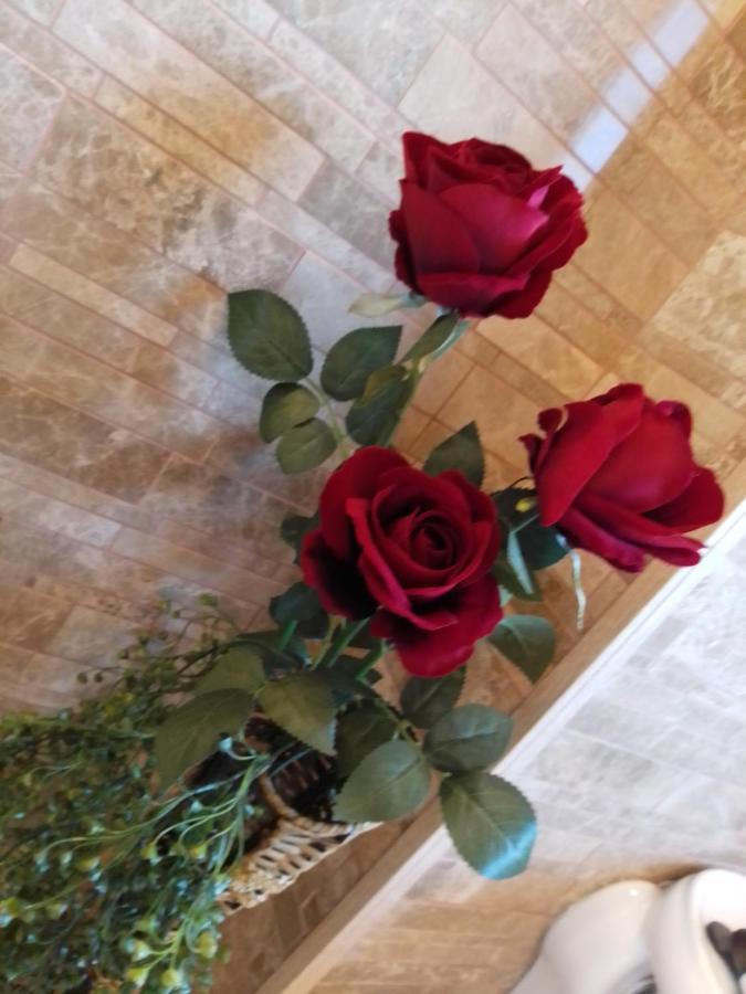 Casa Maria Roses Hotell Rîşnov Exteriör bild