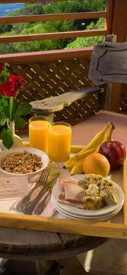 Casa Maria Roses Hotell Rîşnov Exteriör bild
