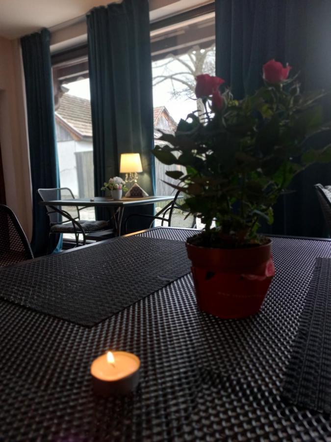 Casa Maria Roses Hotell Rîşnov Exteriör bild