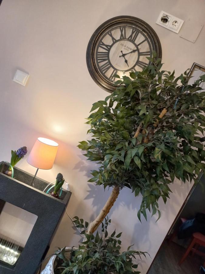 Casa Maria Roses Hotell Rîşnov Exteriör bild
